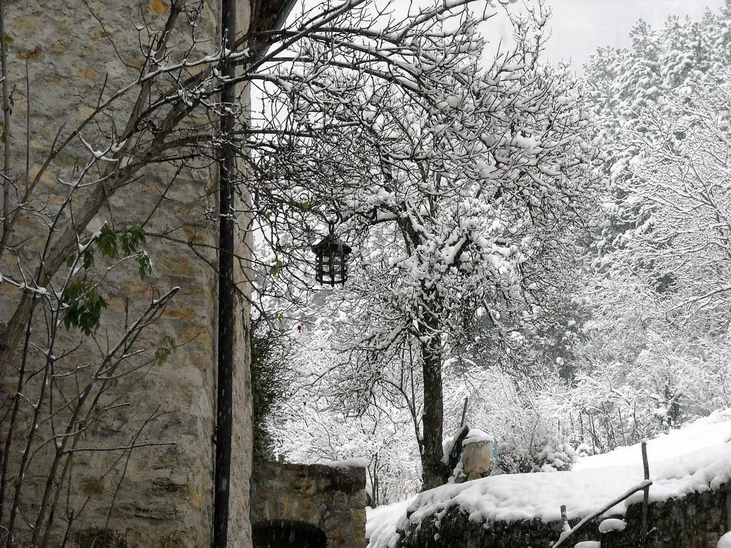 La Piazzetta Di Canale B&B Tenno Buitenkant foto